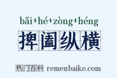 捭阖纵横是什么意思的图片